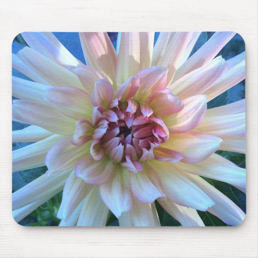 Dahlia C: Geel en zalm — Muismat (Voorkant)