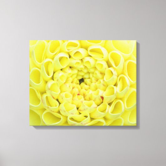 Dahlia Canvas Afdruk (Voorkant)