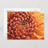 dahlia - carte postale (Devant / Derrière)