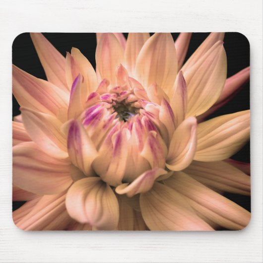 Dahlia Corona 2 Muismat (Voorkant)