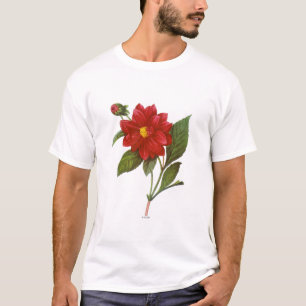 Dahlia (Dahlia Pinnata) T-shirt