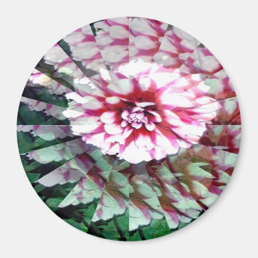 Dahlia draai..... magneet (Voorkant)