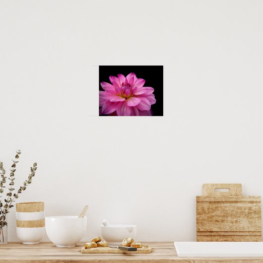 Dahlia Figurine Pink Poster (Keuken)