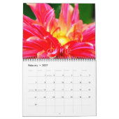 Dahlia Floral Fantasy 2014 Wall Calender Kalender (Feb 2027)