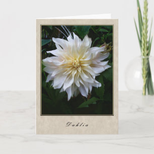 Dahlia - Floral reeks Kaart