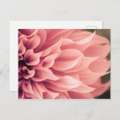 Dahlia Flower Blossom Briefkaart (Voorkant / Achterkant)