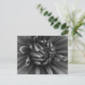 Dahlia Flower Briefkaart (Staand voorkant)