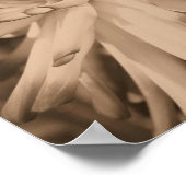 Dahlia Flower Dichtbij in  sepia Poster (Hoek)