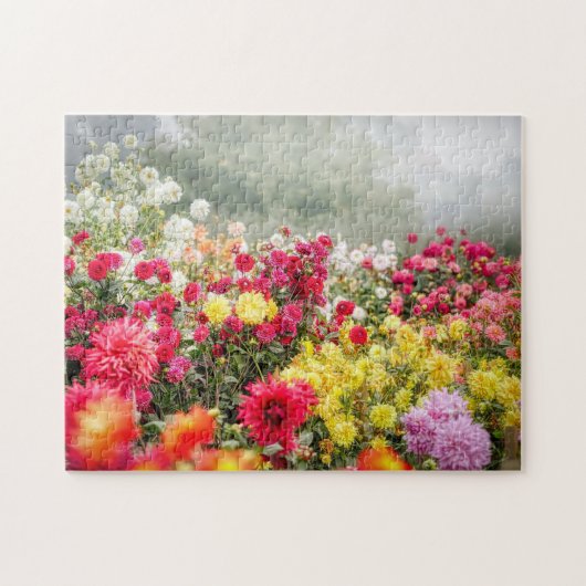 Dahlia Flower Field Legpuzzel (Horizontaal)