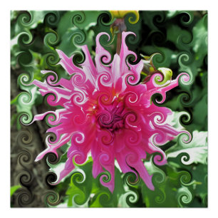 DAHLIA FLOWER PERFECT POSTER