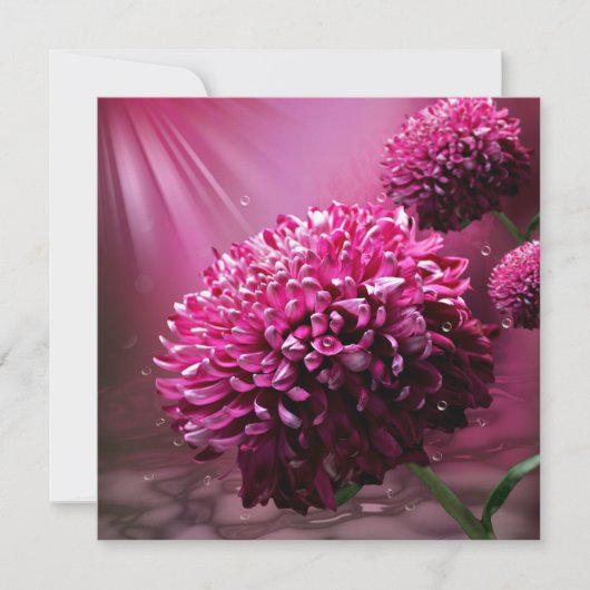 Dahlia Flowers Kaart (Voorkant)