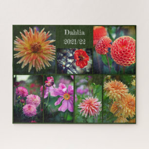 Dahlia Flowers Seven Photo Collage 520pc Jigzaag P Legpuzzel