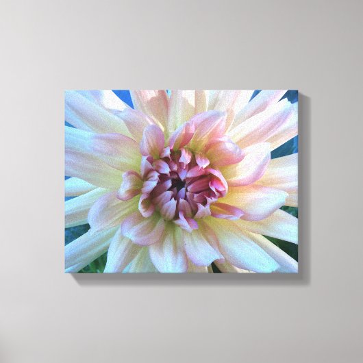 DAHLIA: Geel en zalm — Canvas Afdruk (Voorkant)