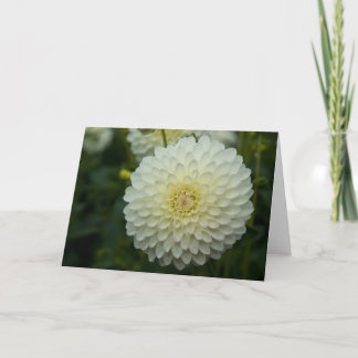 Dahlia Greeting | Carte de voeux Dahlie