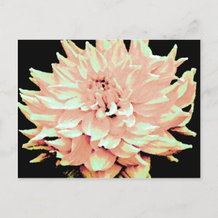 Dahlia - Honeymoon - bleke zwarte perziken Briefkaart