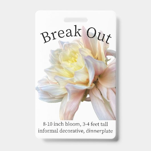 Dahlia ID Badge uitsplitsen (Voorzijde)