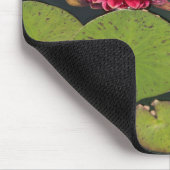 Dahlia in Pond Muismat (Hoek)