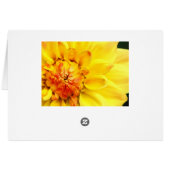 Dahlia jaune (Dos Horizontal)