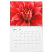 Dahlia Kalender 2025 (Feb 2027)
