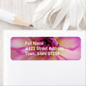 Dahlia Mailing Labels (Insitu)