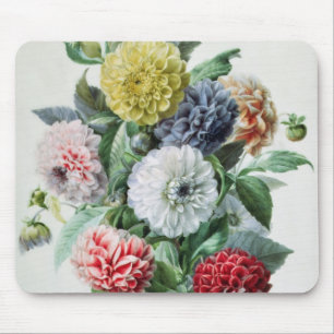 Dahlia Muismat