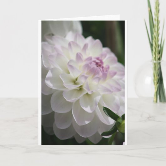 Dahlia Note Card Kaart (Voorkant)