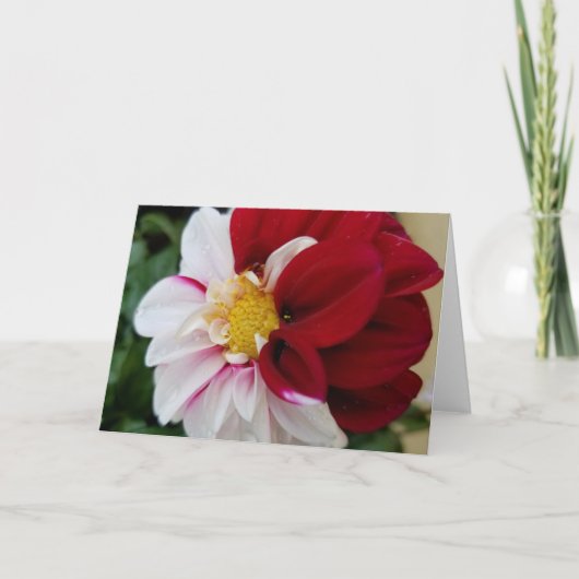 Dahlia Notecards Kaart (Voorkant)