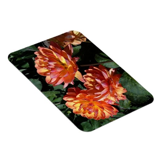 Dahlia Pam Howden #1 Magnet Magneet (Rechterzijde)