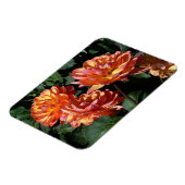 Dahlia Pam Howden #1 Magnet Magneet (Linkerzijde)