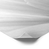 Dahlia Petals Black en White Poster (Hoek)