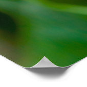 Dahlia Poster (Coin)