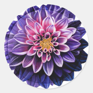 Dahlia Ronde Sticker