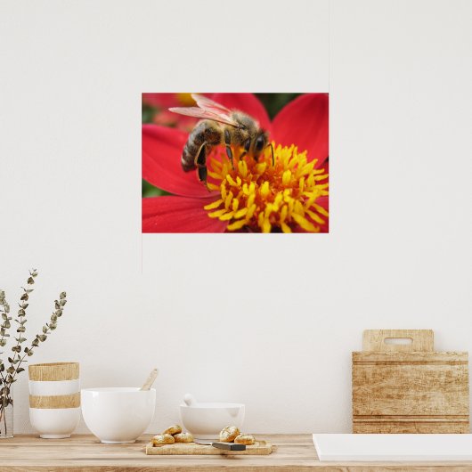 Dahlia (rood) poster (Keuken)