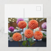 Dahlia Roos Toscano #1 Briefkaart (Voorkant / Achterkant)