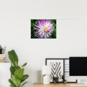 Dahlia rose blanc - Poster (Bureau à domicile)