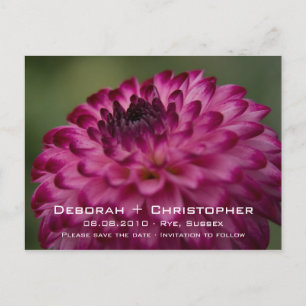 Dahlia rose • Sauvez la carte postale de date