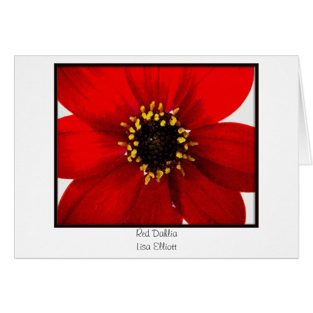 Dahlia rouge (Devant horizontal)