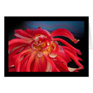 Dahlia rouge : www.GraceArtGroup.com