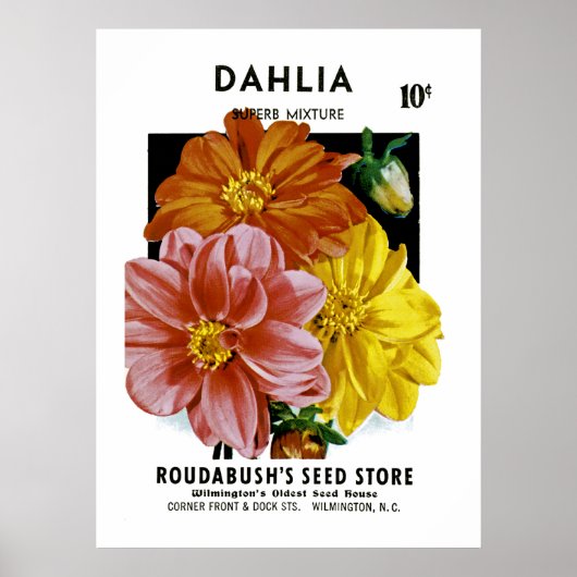 Dahlia Seed Packet Poster (Voorkant)