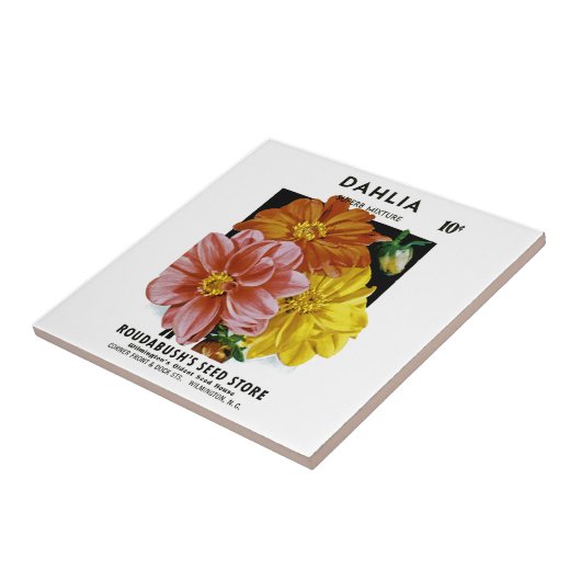 Dahlia  Seed Packet Tegeltje (Zijkant)