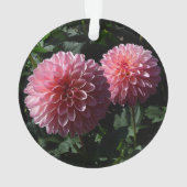 Dahlia Valley Porcupine #1 Ornament (achterkant)