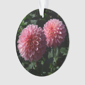 Dahlia Valley Porcupine #1 Ornament (voorkant)