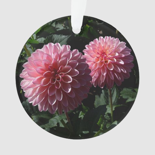 Dahlia Valley Porcupine #1 Ornament (voorkant)