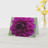 Dahlia violette sur une carte de billet, fermer (Fleur jaune)