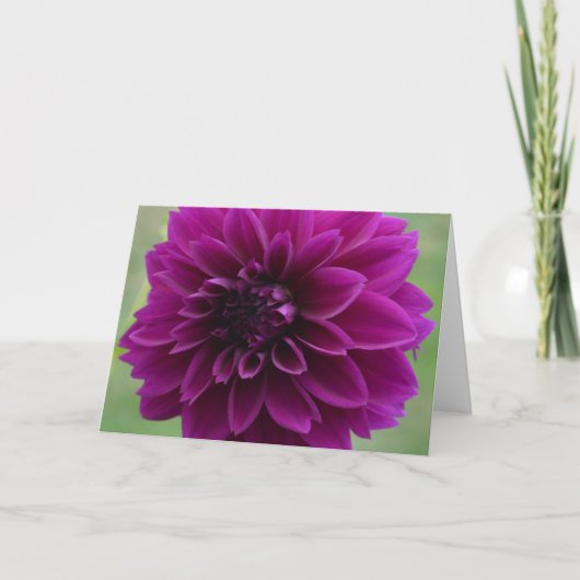 Dahlia violette sur une carte de billet, fermer (Devant)