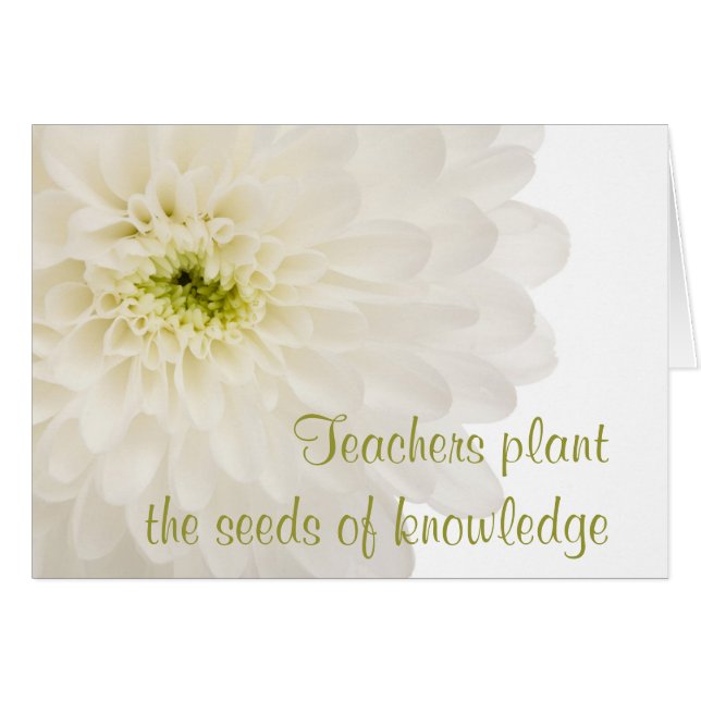 Dahlia White Flower Teacher (Devant horizontal)