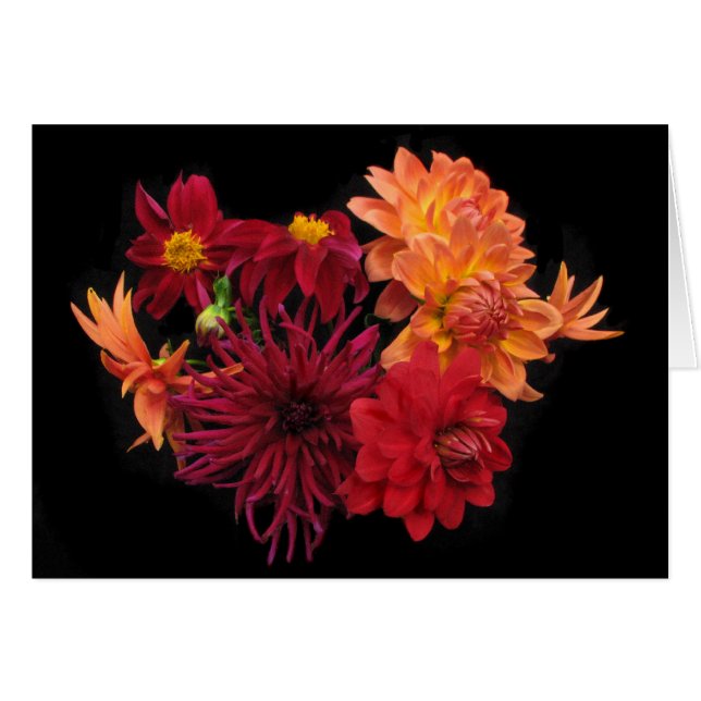 Dahlias (Devant horizontal)