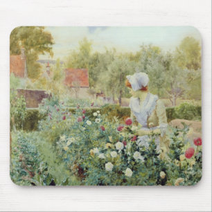 Dahlias 1896 muismat
