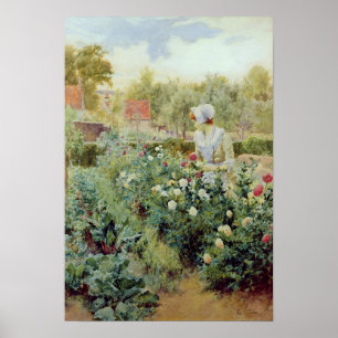 Dahlias 1896 poster