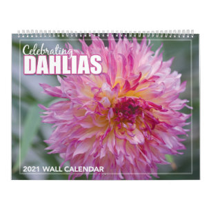 Dahlias 2021 : calendrier des murailles
